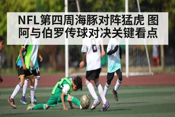 NFL第四周海豚对阵猛虎 图阿与伯罗传球对决关键看点